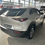 IMG_4738.JPG