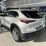 IMG_4737.JPG