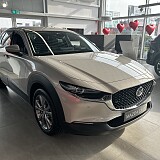 IMG_4739.JPG