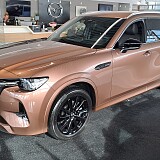 20241007_142436.jpg