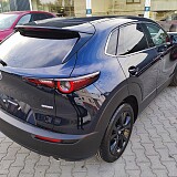 IMG_20241021_160839.jpg