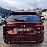 IMG_20241.jpg