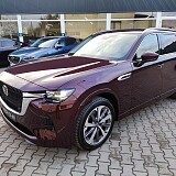 IMG_2.jpg