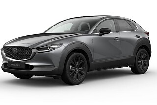 CX-30 Hom - M.gray.JPG