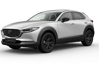 CX-30 Hom - ceramic.JPG
