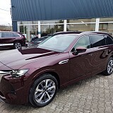 IMG_20241210_104939.jpg