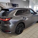 IMG_20241203_124810.jpg