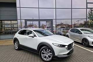 20241209_105020.jpg