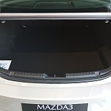 IMG_20240807_114419.jpg