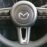 IMG_20240807_114151.jpg