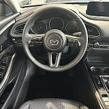 IMG_6063.jpeg