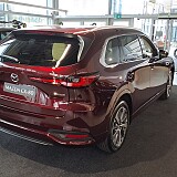 20241119_095637.jpg