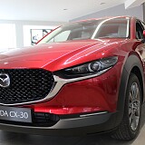 IMG_0100.JPG