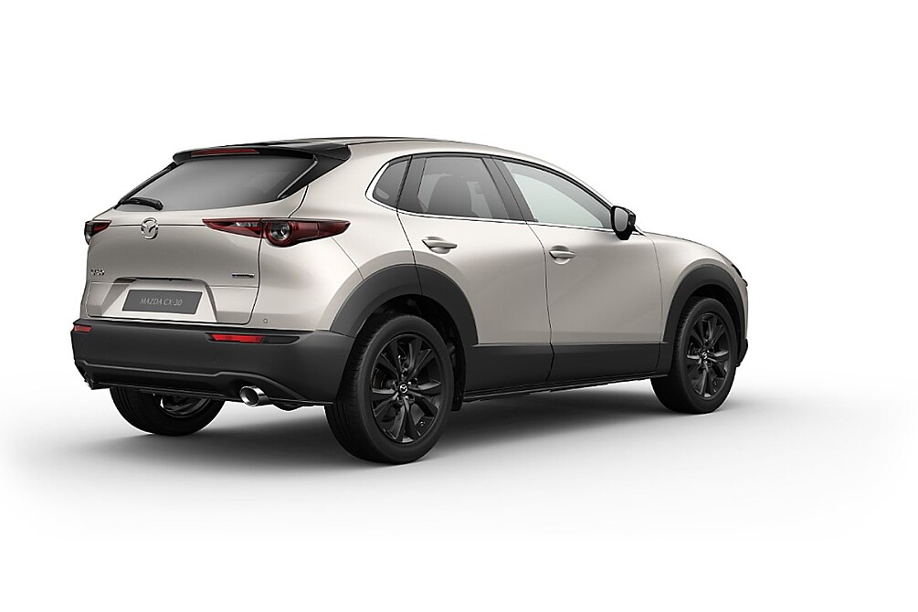 MAZDA CX-30 Homura_Platinum Quartz_443.jpg