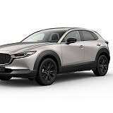 MAZDA CX-30 Homura_Platinum Quartz_447.jpg
