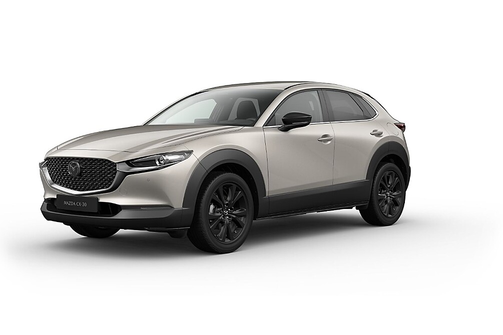 MAZDA CX-30 Homura_Platinum Quartz_447.jpg