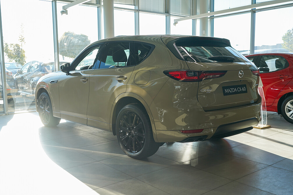 1-2 (1) zmniejszone.jpg