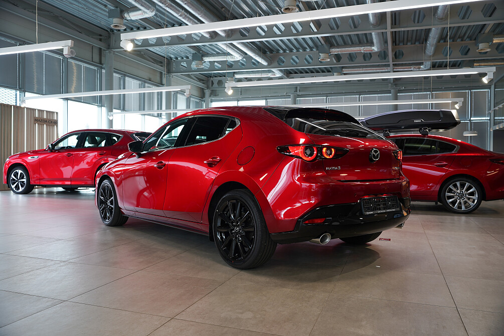 1-4 (1) zmniejszone.jpg