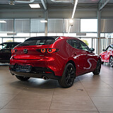 1-6 (1) zmniejszone.jpg