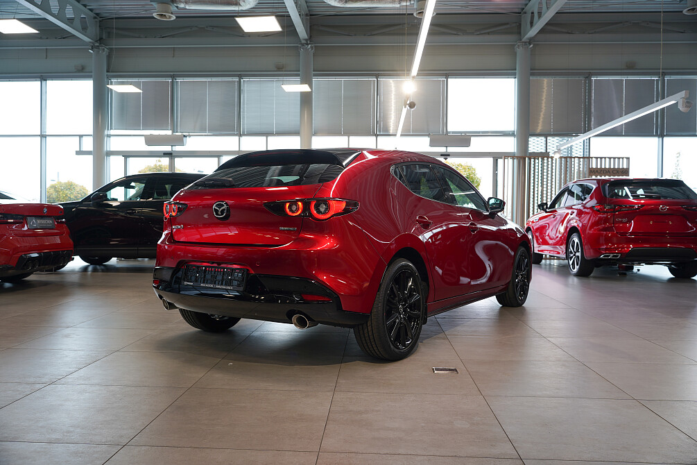 1-6 (1) zmniejszone.jpg