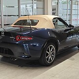 IMG_20251007_124157.jpg