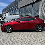 IMG_6264.jpeg