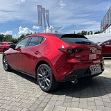 IMG_6265.jpeg
