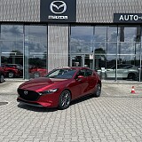 IMG_6262.jpeg