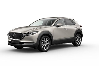 cx 30 exlusive platinum.jpg