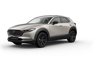 MAZDA CX-30 Nagisa_Platinum Quartz_519.jpg
