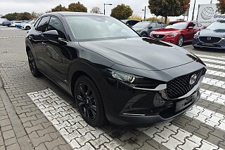 shared image - 2025-10-09T150947.896.jpg