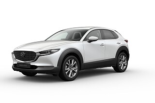 cx 30 exclusive snowlflake white.jpg