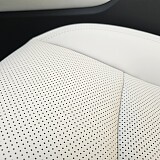 20250221_083256.jpg