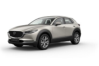 MAZDA CX-30 Centre-line_Platinum Quartz_359.jpg