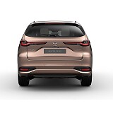 MAZDA CX-80 TAKUMI PLUS_Melting Copper_356.jpg