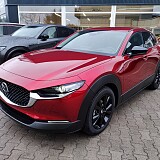 IMG_20241210_093438.jpg