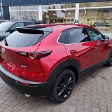 IMG_20241210_093557.jpg