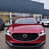 IMG_20241210_093429.jpg