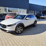 IMG_20250210_115931240.jpg