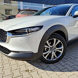 IMG_20250210_115937960.jpg