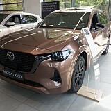 IMG_20250424_093953.jpg
