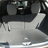 IMG_20250424_094044.jpg