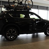 IMG_0229.JPG