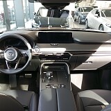 IMG_20250424_094301.jpg