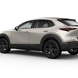 MAZDA CX-30 Nagisa_Platinum Quartz_517.jpg