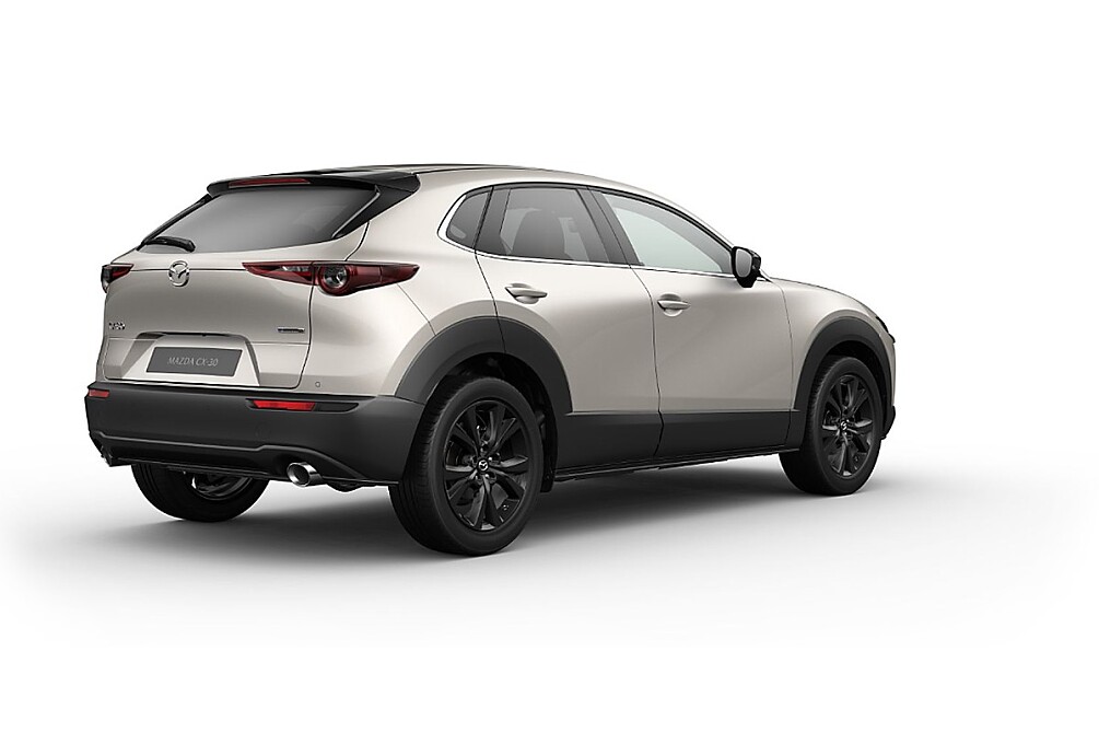 MAZDA CX-30 Nagisa_Platinum Quartz_515.jpg