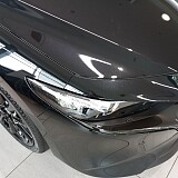 IMG_20241002_125244.jpg