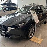 cx-30 exclusive line machie gray 1.jpeg