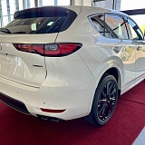 IMG_E6255.JPG