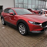 IMG_20210126_132055.jpg